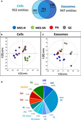 Ceramide Composition in Exosomes for Characterization of Glioblastoma Stem-Like Cell Phenotypes